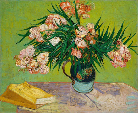 Oleanders (1888) White Modern Wood Framed Art Print with Double Matting by Van Gogh, Vincent