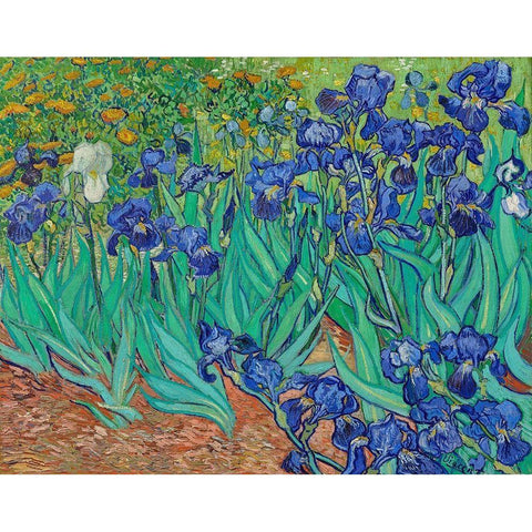 Irises (1889) Gold Ornate Wood Framed Art Print with Double Matting by Van Gogh, Vincent