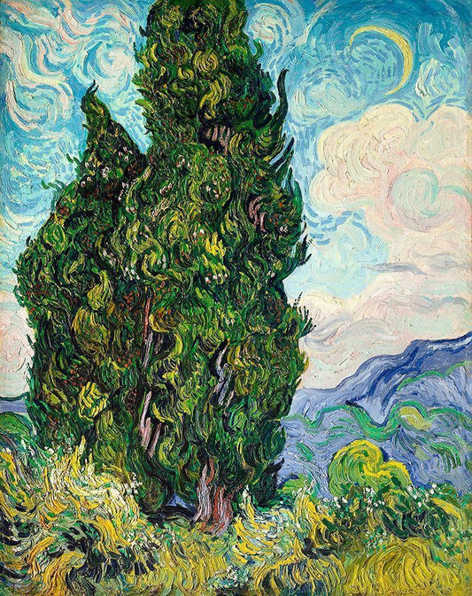 Image Only