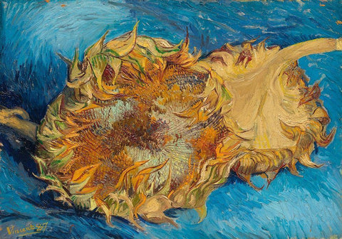 Sunflowers (1887) White Modern Wood Framed Art Print with Double Matting by Van Gogh, Vincent