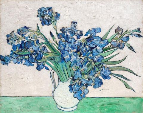 Irises (1890) White Modern Wood Framed Art Print with Double Matting by Van Gogh, Vincent