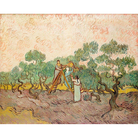 Women Picking Olives (1889) Gold Ornate Wood Framed Art Print with Double Matting by Van Gogh, Vincent