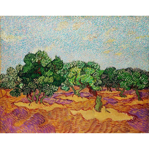 Olive Trees (1889) Black Modern Wood Framed Art Print with Double Matting by Van Gogh, Vincent