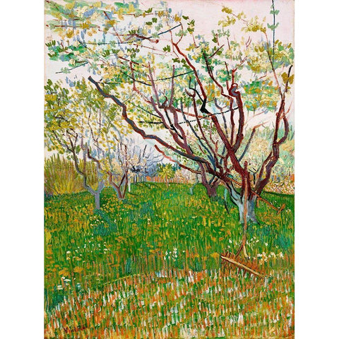 The Flowering Orchard (1888) Black Modern Wood Framed Art Print with Double Matting by Van Gogh, Vincent