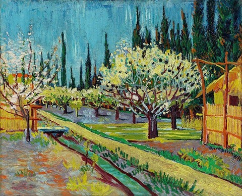 Orchard Bordered by Cypresses (1888) Black Ornate Wood Framed Art Print with Double Matting by Van Gogh, Vincent