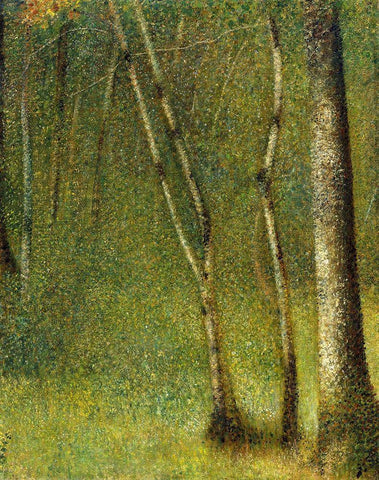 The Forest at PontaubertÂ  White Modern Wood Framed Art Print with Double Matting by Seurat, Georges