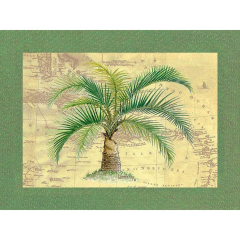 Palm Tree IV Black Modern Wood Framed Art Print with Double Matting by Kruskamp, Janet