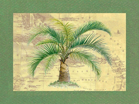 Palm Tree IV White Modern Wood Framed Art Print with Double Matting by Kruskamp, Janet