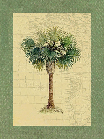 Palm Tree V Black Ornate Wood Framed Art Print with Double Matting by Kruskamp, Janet