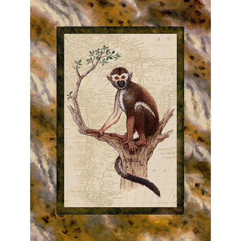 Squirrel Monkey Black Modern Wood Framed Art Print with Double Matting by Kruskamp, Janet