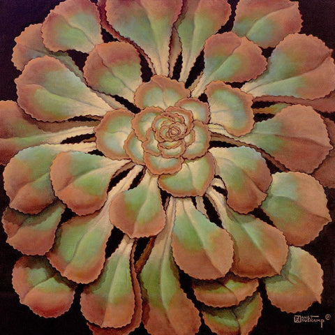 Succulent II White Modern Wood Framed Art Print by Kruskamp, Janet