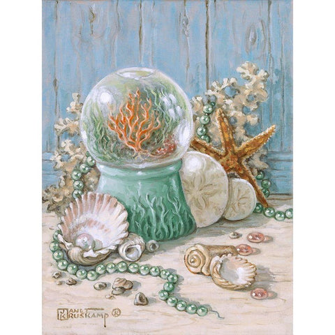 Sea Shell Collection IV Black Modern Wood Framed Art Print with Double Matting by Kruskamp, Janet