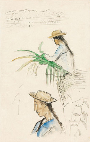 Sketches of Figures, Pandanus Leaf, and Vanilla Plant White Modern Wood Framed Art Print with Double Matting by Gauguin, Paul