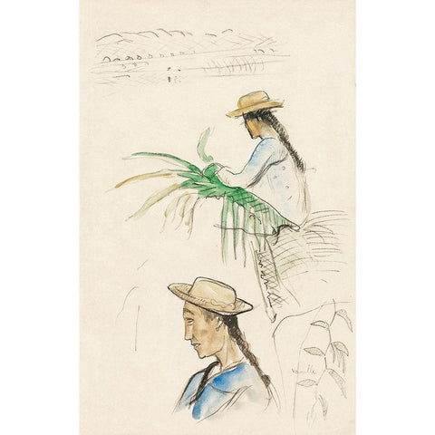 Sketches of Figures, Pandanus Leaf, and Vanilla Plant Black Modern Wood Framed Art Print with Double Matting by Gauguin, Paul