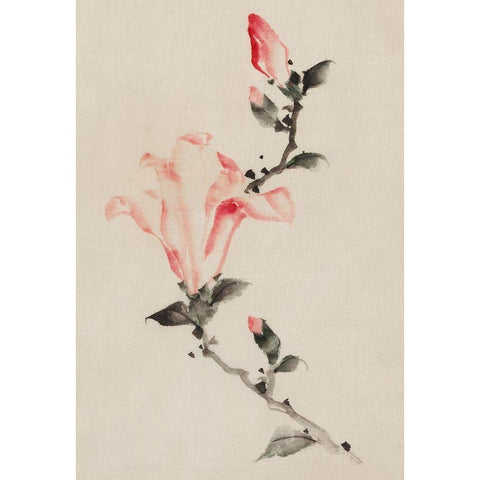 Large Pink Blossom on a Stem with Three Additional Buds White Modern Wood Framed Art Print by Hokusai, Katsushika