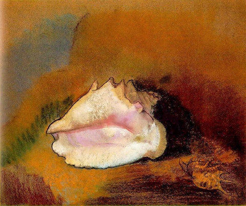 Coquille, 1912 White Modern Wood Framed Art Print with Double Matting by Redon, Odilon