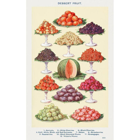 Dessert Fruit Black Modern Wood Framed Art Print with Double Matting by Mrs. Beeton''s Book of Household Management