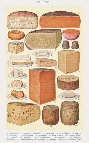 Cheeses White Modern Wood Framed Art Print with Double Matting by Mrs. Beeton''s Book of Household Management