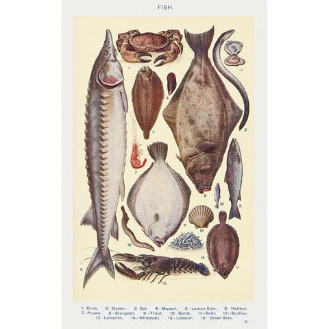 Fish II Gold Ornate Wood Framed Art Print with Double Matting by Mrs. Beeton''s Book of Household Management