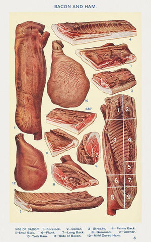 Bacon and Ham Black Ornate Wood Framed Art Print with Double Matting by Mrs. Beeton''s Book of Household Management