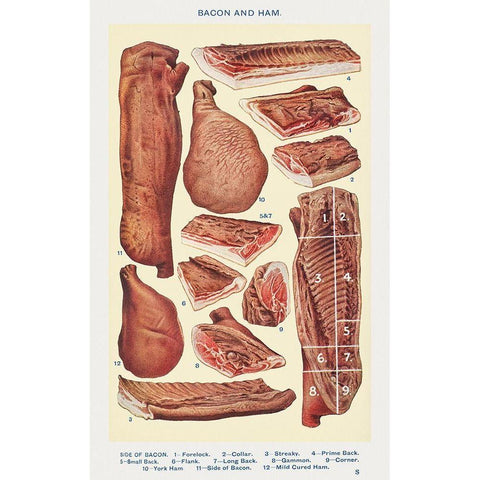 Bacon and Ham Gold Ornate Wood Framed Art Print with Double Matting by Mrs. Beeton''s Book of Household Management