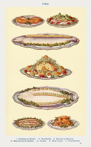 Fish IV White Modern Wood Framed Art Print with Double Matting by Mrs. Beeton''s Book of Household Management