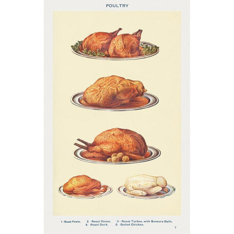 Poultry White Modern Wood Framed Art Print by Mrs. Beeton''s Book of Household Management