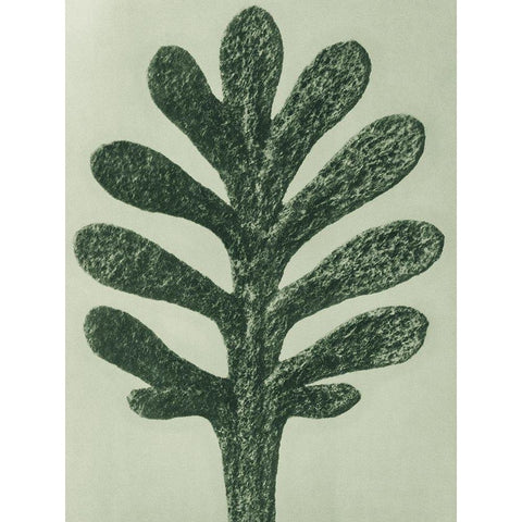 Achillea Umbellata (Yarrow) Black Modern Wood Framed Art Print by Blossfeldt, Karl