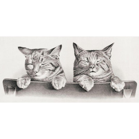 Cats White Modern Wood Framed Art Print by Hunter, Thomas