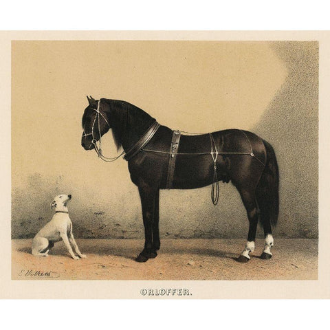 Orloffer (Orloff Horse) Gold Ornate Wood Framed Art Print with Double Matting by Volkers, Emil