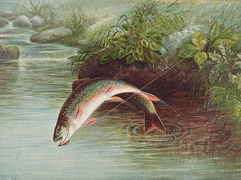 Leaping Brook Trout White Modern Wood Framed Art Print with Double Matting by Kilbourne, Samuel