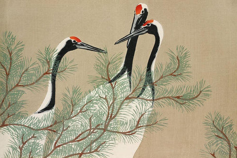 Cranes from Momoyogusa Black Ornate Wood Framed Art Print with Double Matting by Sekka, Kamisaka