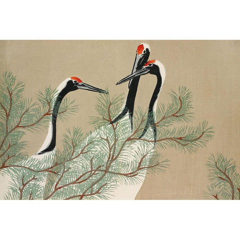 Cranes from Momoyogusa Gold Ornate Wood Framed Art Print with Double Matting by Sekka, Kamisaka