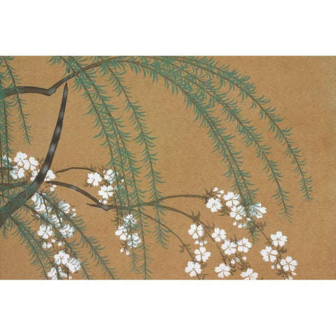 Blossoms from Momoyogusa White Modern Wood Framed Art Print by Sekka, Kamisaka