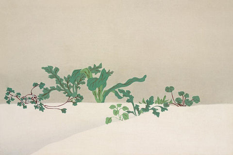 Green plants from Momoyogusa White Modern Wood Framed Art Print with Double Matting by Sekka, Kamisaka