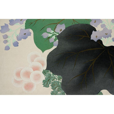 Flowers and leaves from Momoyogusa Black Modern Wood Framed Art Print with Double Matting by Sekka, Kamisaka