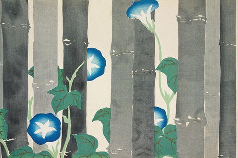 Morning glories from Momoyogusa White Modern Wood Framed Art Print with Double Matting by Sekka, Kamisaka