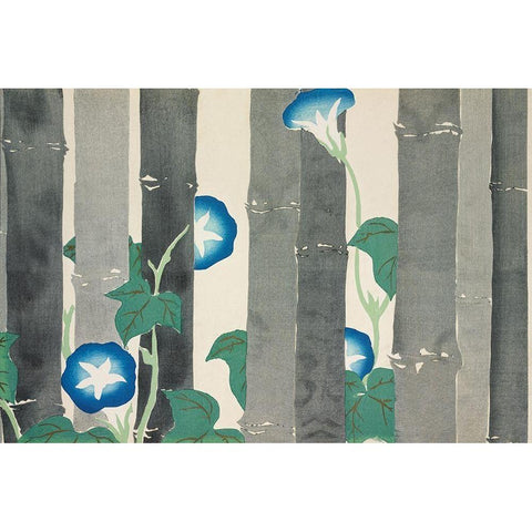 Morning glories from Momoyogusa Black Modern Wood Framed Art Print with Double Matting by Sekka, Kamisaka