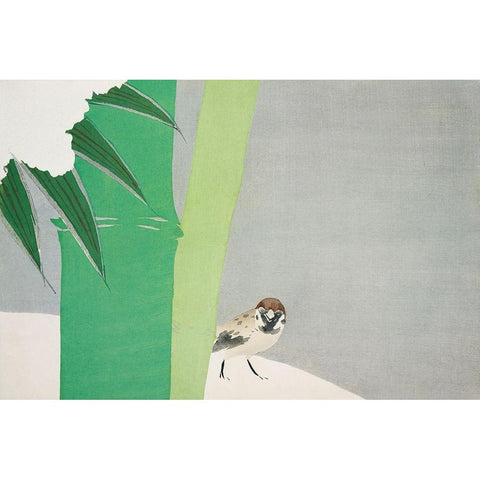 Sparrow from Momoyogusa Black Modern Wood Framed Art Print with Double Matting by Sekka, Kamisaka