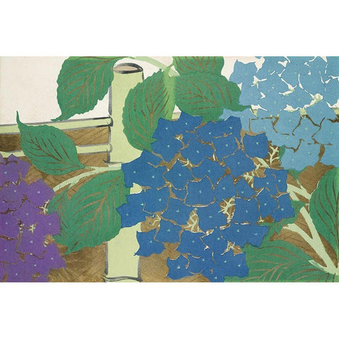 Hydrangea from Momoyogusa Black Modern Wood Framed Art Print with Double Matting by Sekka, Kamisaka