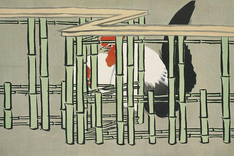 Roosters from Momoyogusa White Modern Wood Framed Art Print with Double Matting by Sekka, Kamisaka