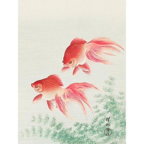 Two veil goldfish Gold Ornate Wood Framed Art Print with Double Matting by Koson, Ohara