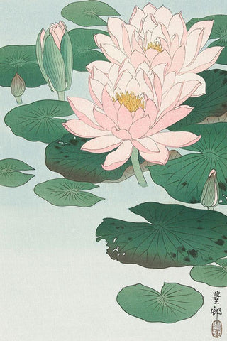 Water Lily Black Ornate Wood Framed Art Print with Double Matting by Koson, Ohara