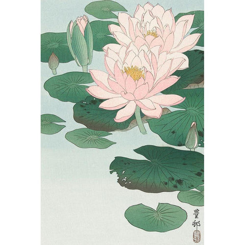 Water Lily White Modern Wood Framed Art Print by Koson, Ohara