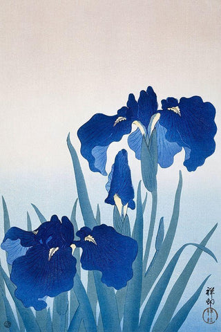 Iris flowers White Modern Wood Framed Art Print with Double Matting by Koson, Ohara