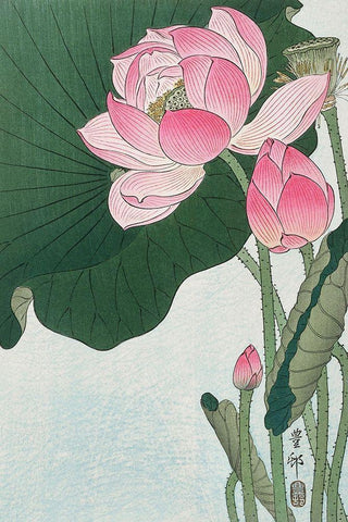 Blooming lotus flowers Black Ornate Wood Framed Art Print with Double Matting by Koson, Ohara