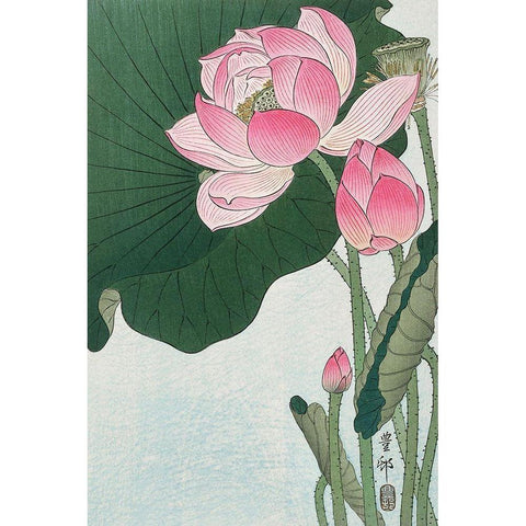 Blooming lotus flowers Gold Ornate Wood Framed Art Print with Double Matting by Koson, Ohara