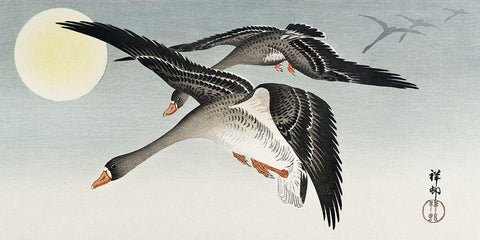 Birds at full moon White Modern Wood Framed Art Print with Double Matting by Koson, Ohara