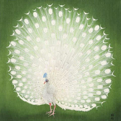 PeacockÂ  Black Ornate Wood Framed Art Print with Double Matting by Koson, Ohara