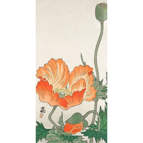 Orange Poppy White Modern Wood Framed Art Print by Koson, Ohara